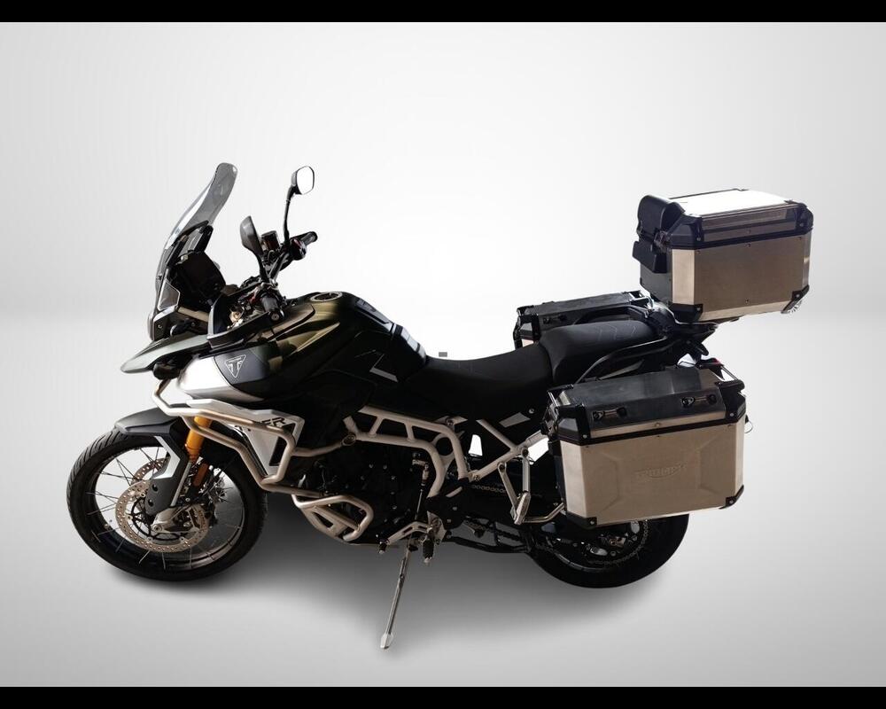 Triumph Tiger 900 Rally Pro (2024 - 26) (6)