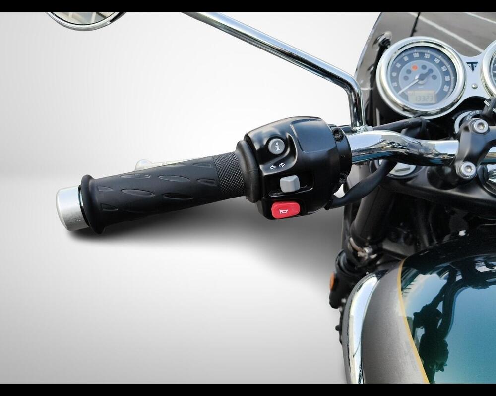 Triumph Bonneville T100 Gold Line Edition (2022) (10)