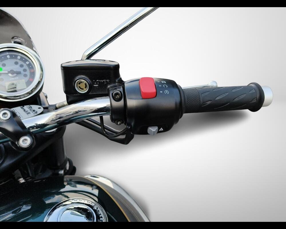 Triumph Bonneville T100 Gold Line Edition (2022) (11)