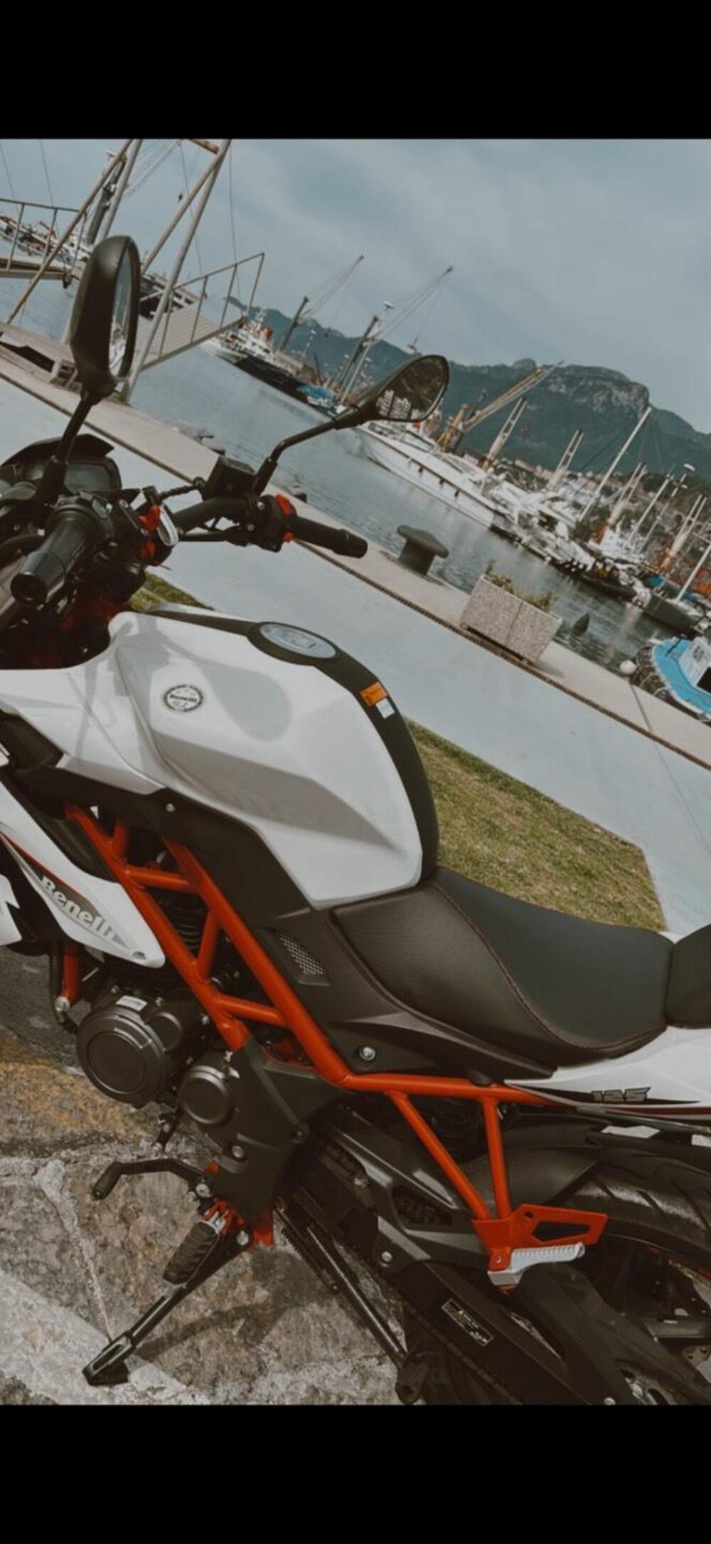 Benelli BN 125 (2021 - 25) (3)