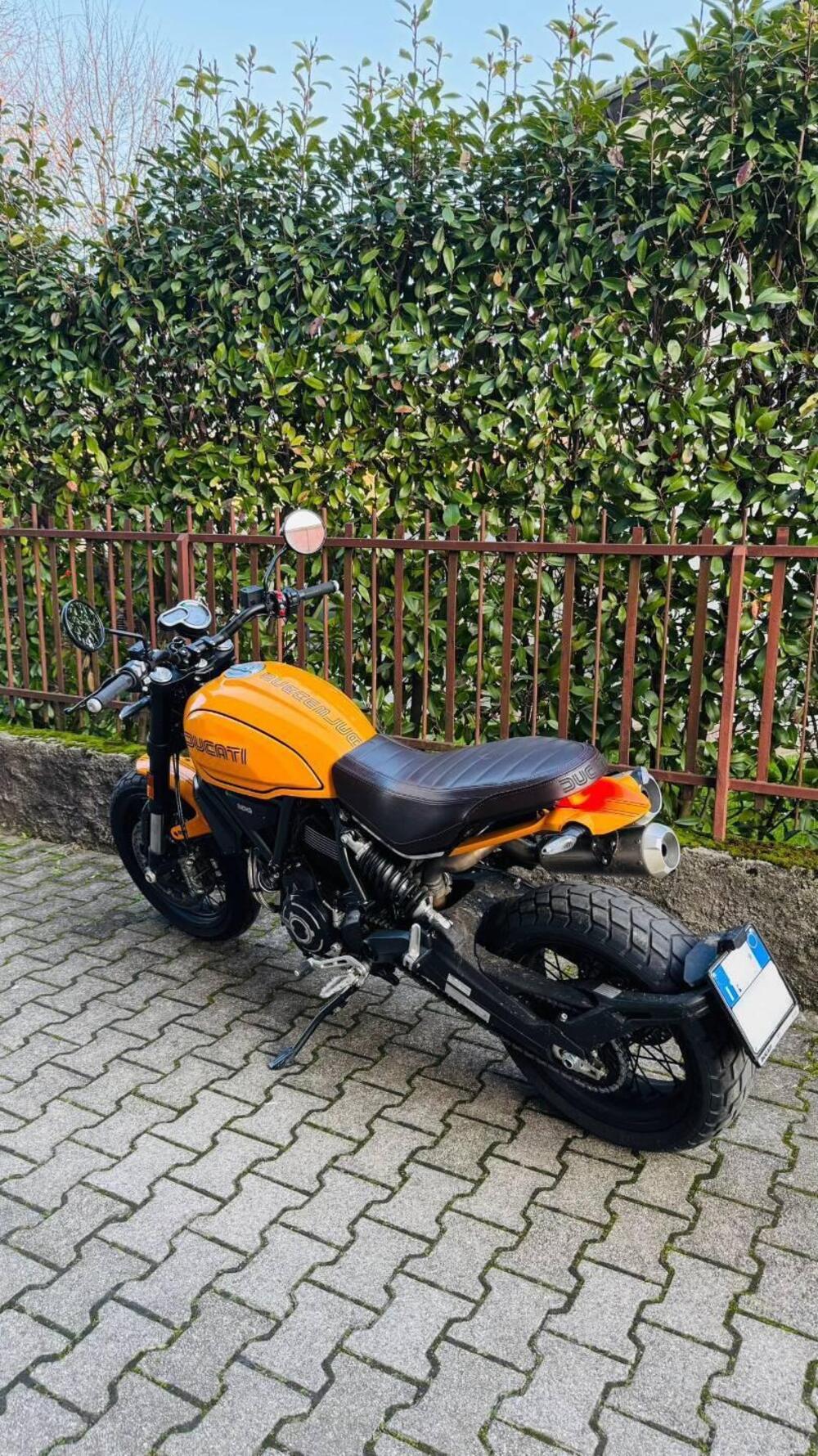 Ducati Scrambler 1100 Tribute Pro (2022 - 24) (4)