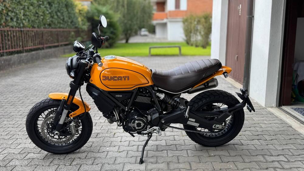 Ducati Scrambler 1100 Tribute Pro (2022 - 24) (6)