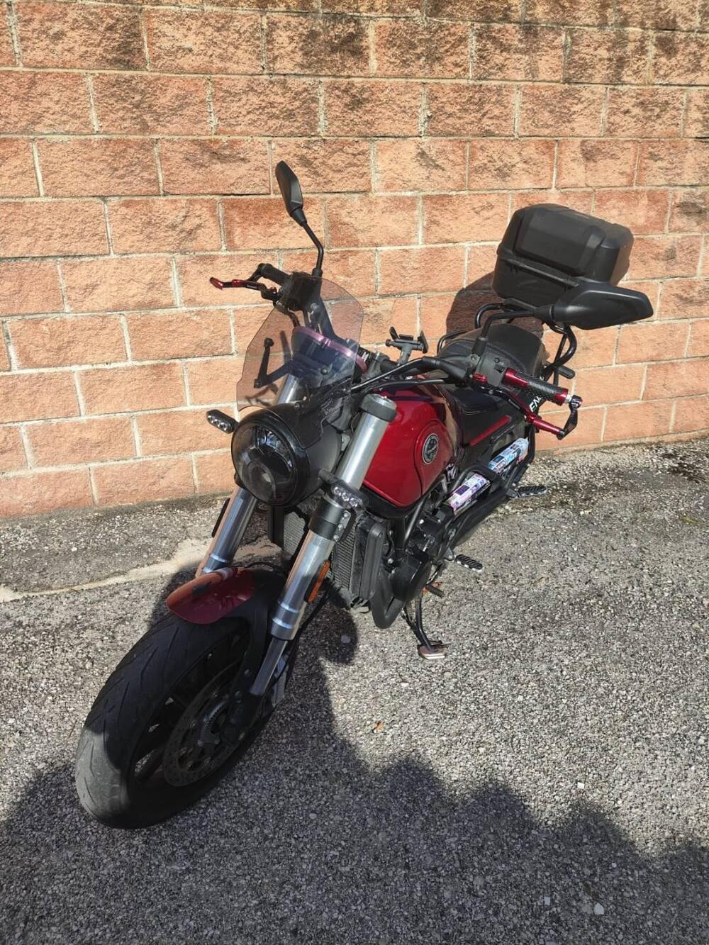 Benelli Leoncino 500 (2021 - 25) (5)