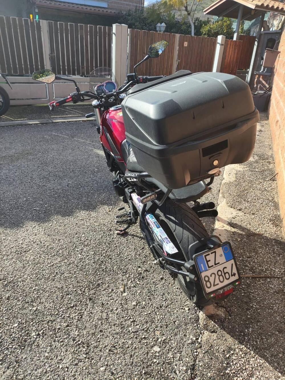 Benelli Leoncino 500 (2021 - 25) (6)