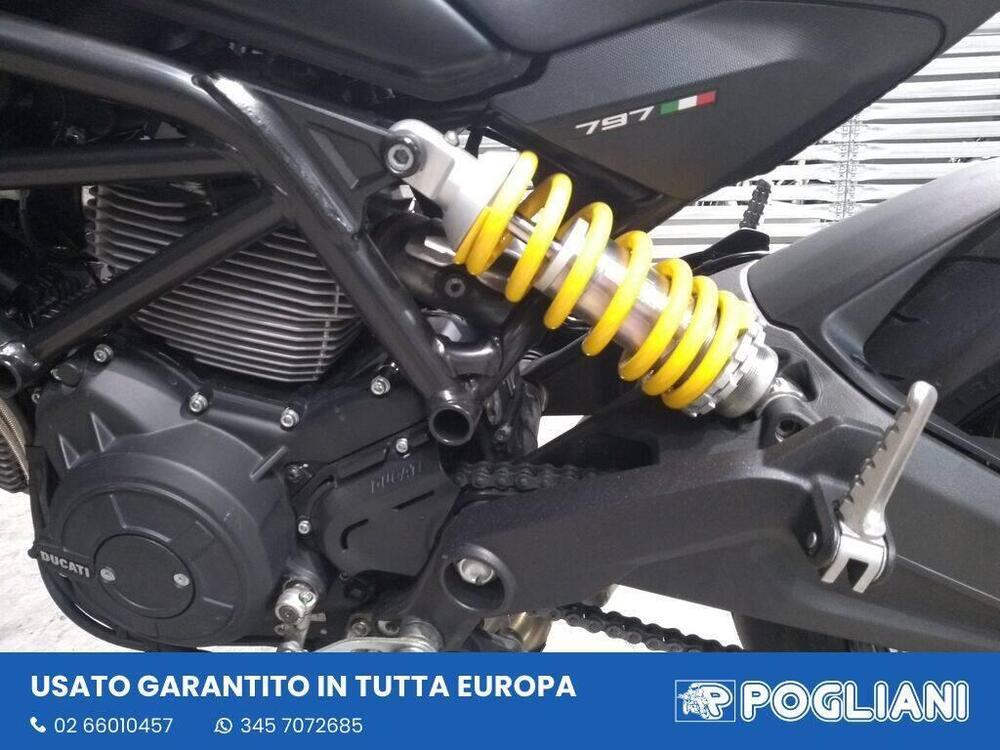 Ducati Monster 797 Plus (2019) (8)