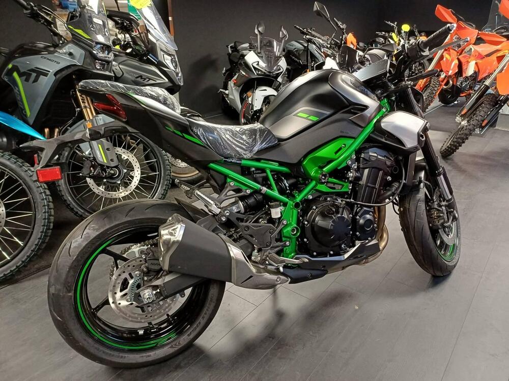 Kawasaki Z 900 (2025 - 26) (4)