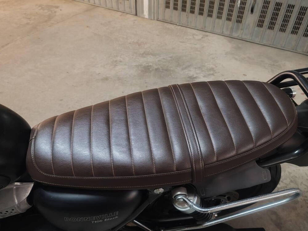 Triumph Bonneville T100 Black (2017 - 20) (5)