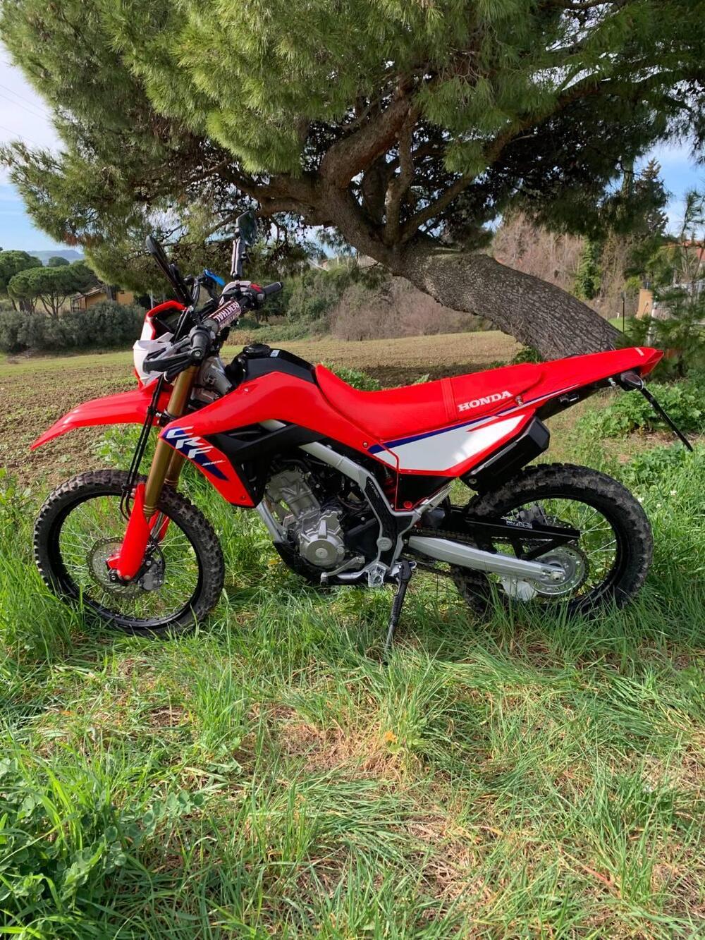 Honda CRF 300L (2025 - 26) (2)