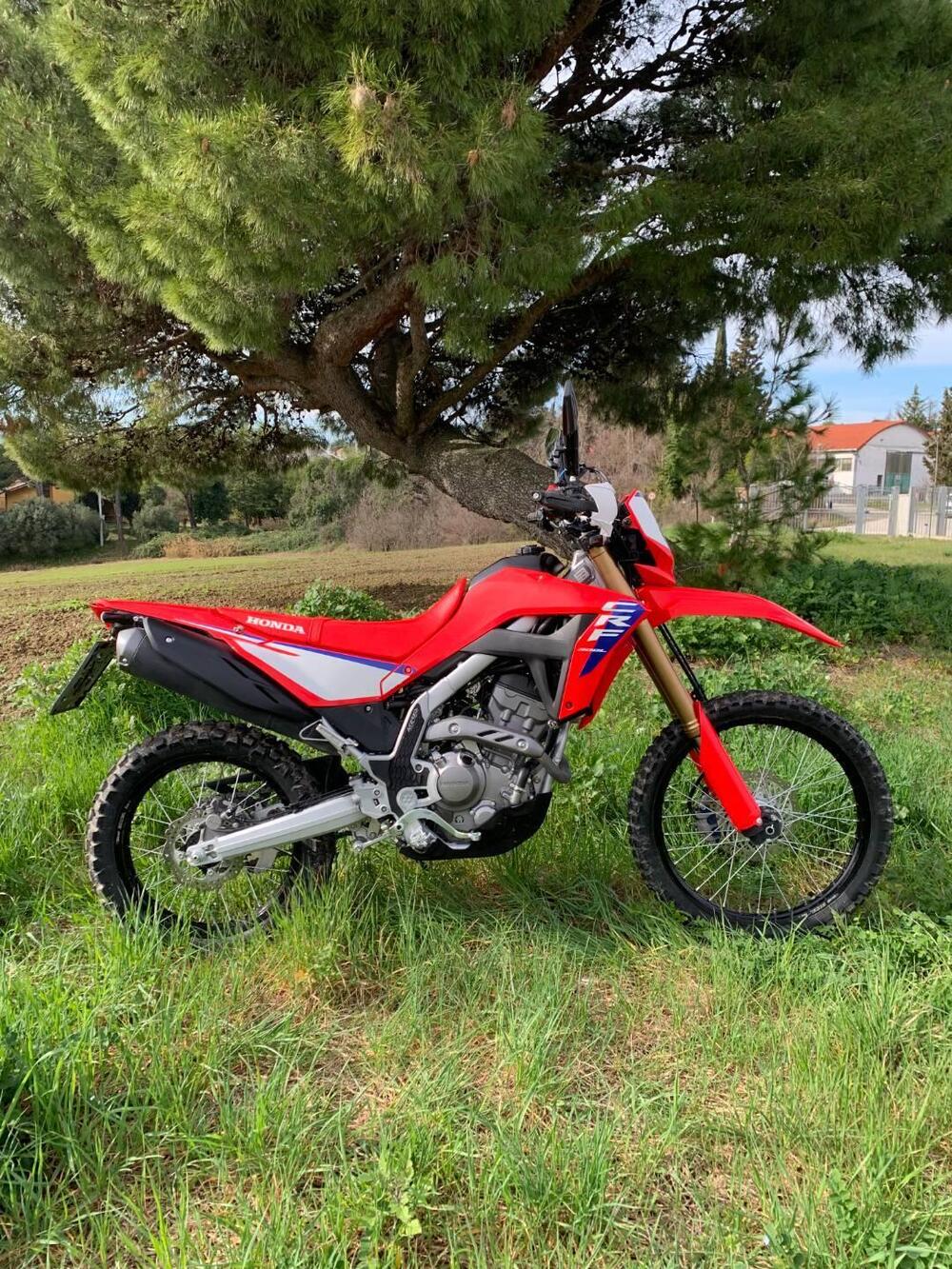 Honda CRF 300L (2025 - 26) (3)