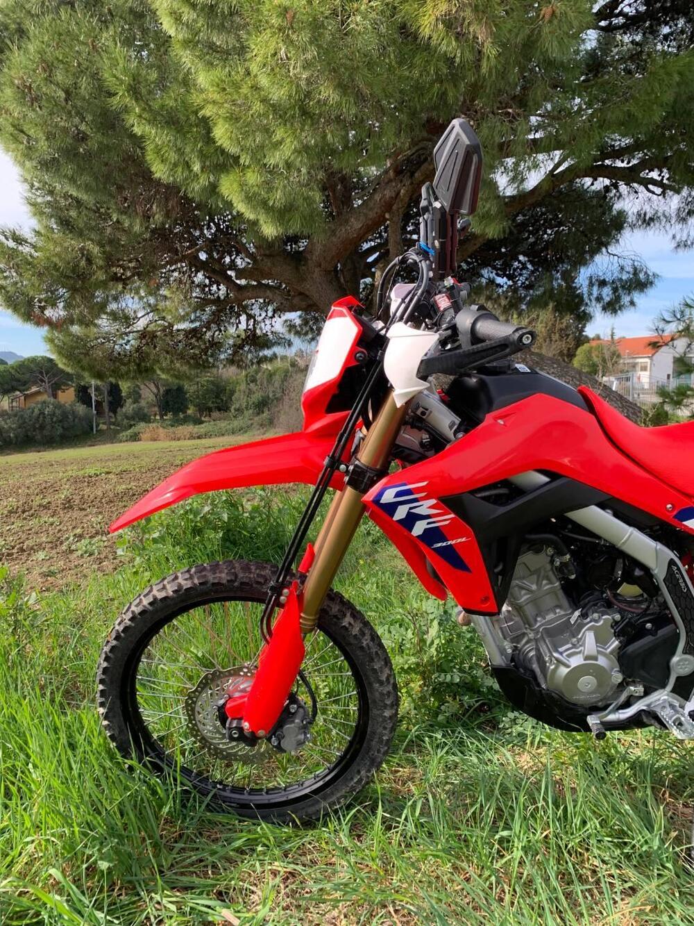 Honda CRF 300L (2025 - 26) (4)