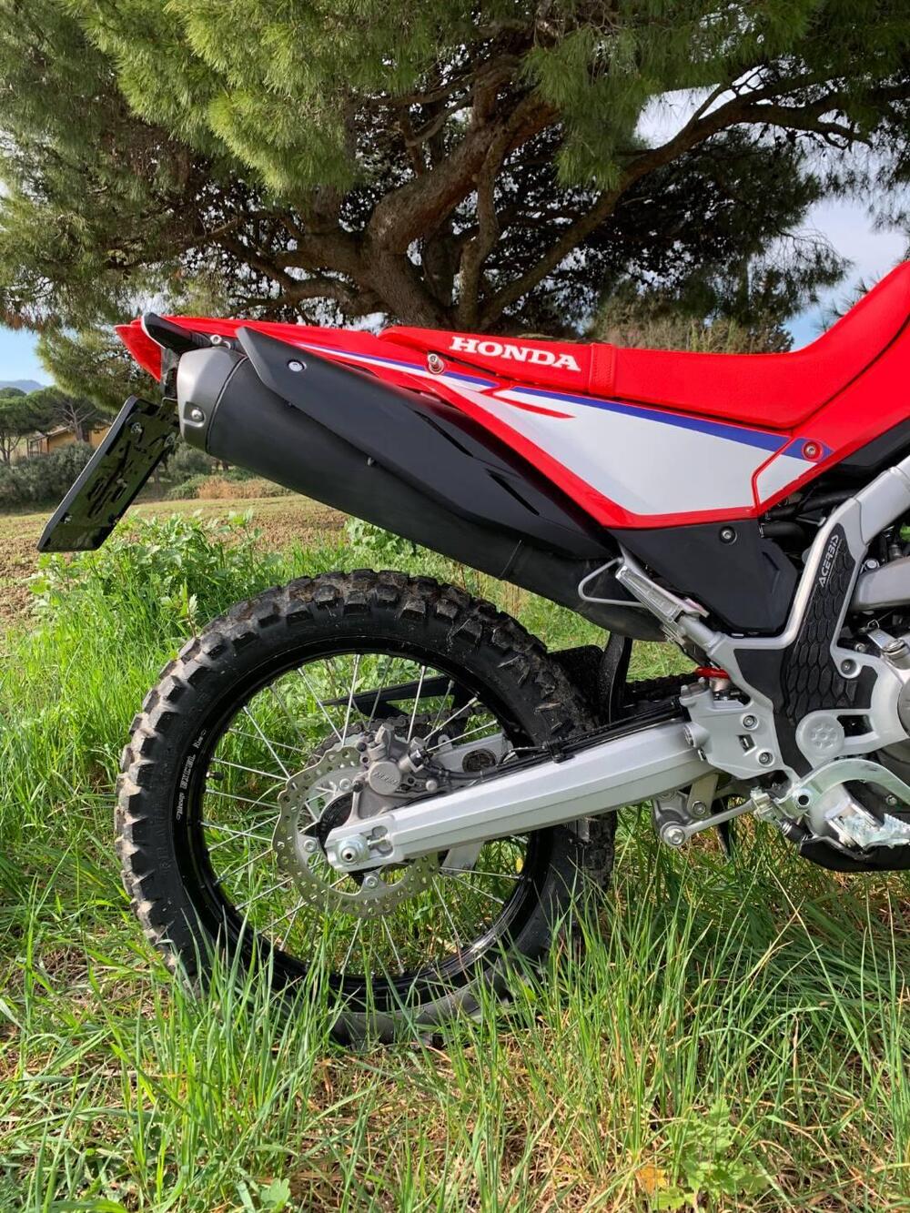 Honda CRF 300L (2025 - 26) (5)