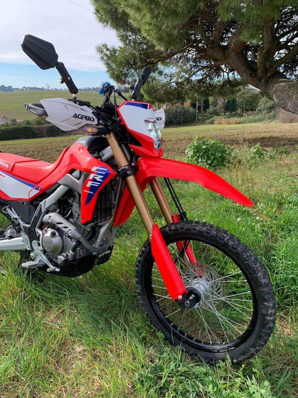Honda CRF 300L (2025 - 26) (7)
