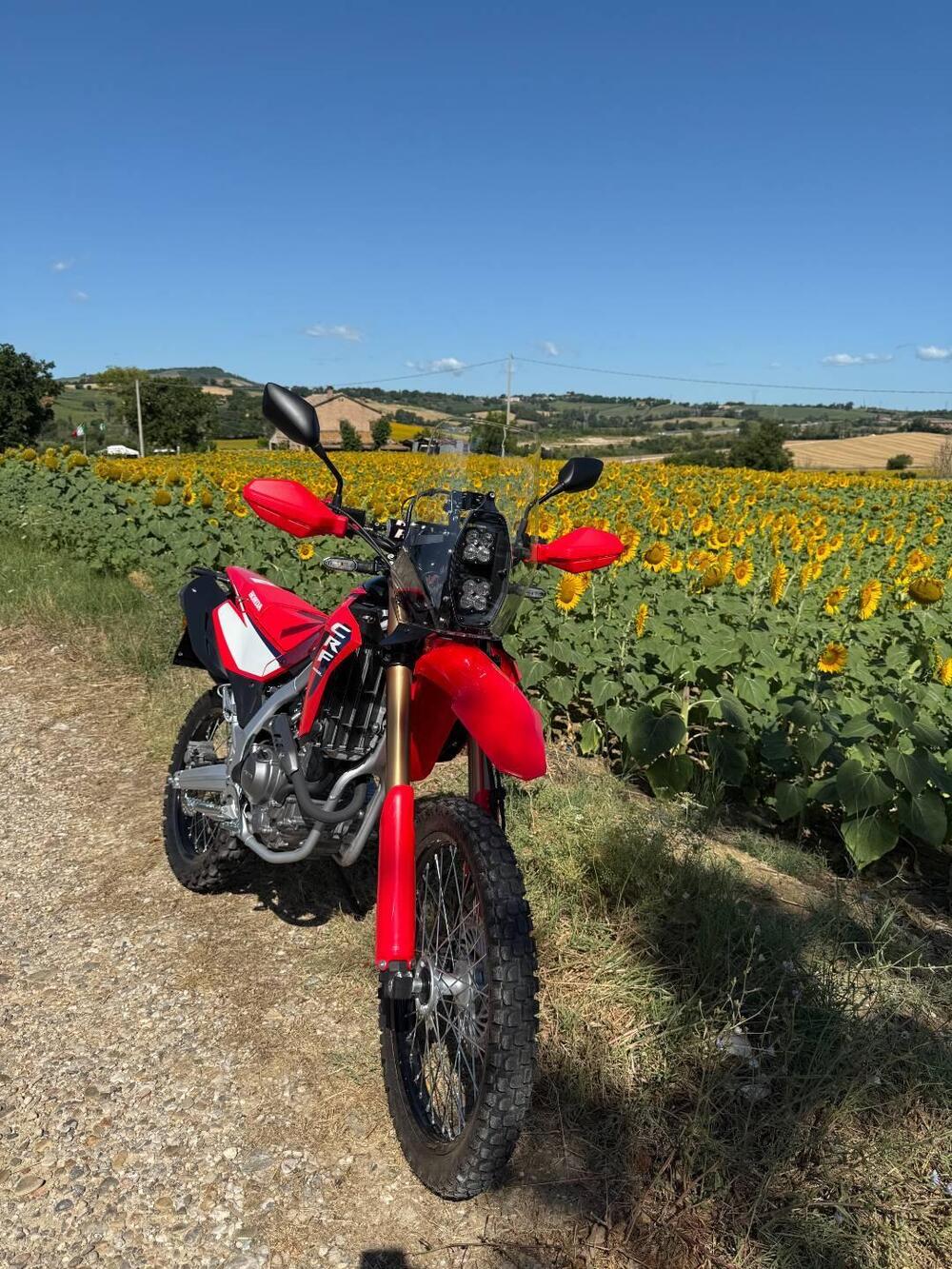 Honda CRF 300L (2025 - 26) (8)