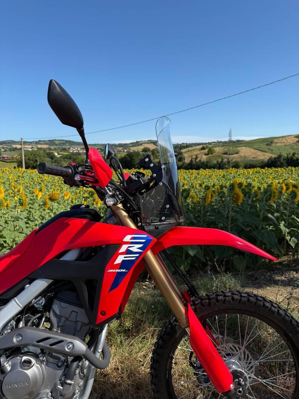 Honda CRF 300L (2025 - 26) (9)