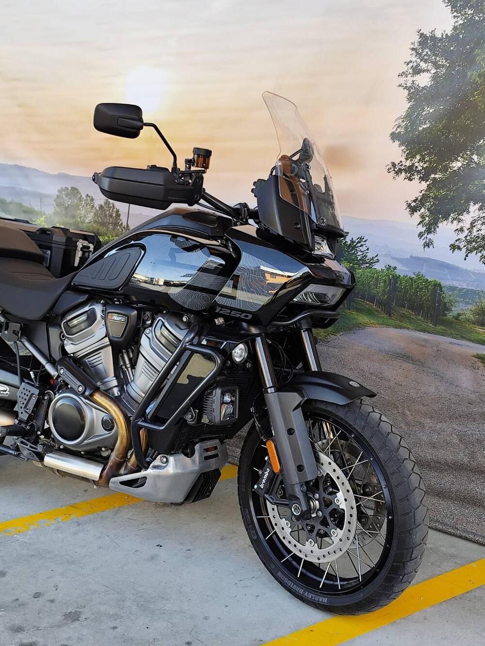 Harley-Davidson Pan America 1250 Special (2020 - 25) (3)