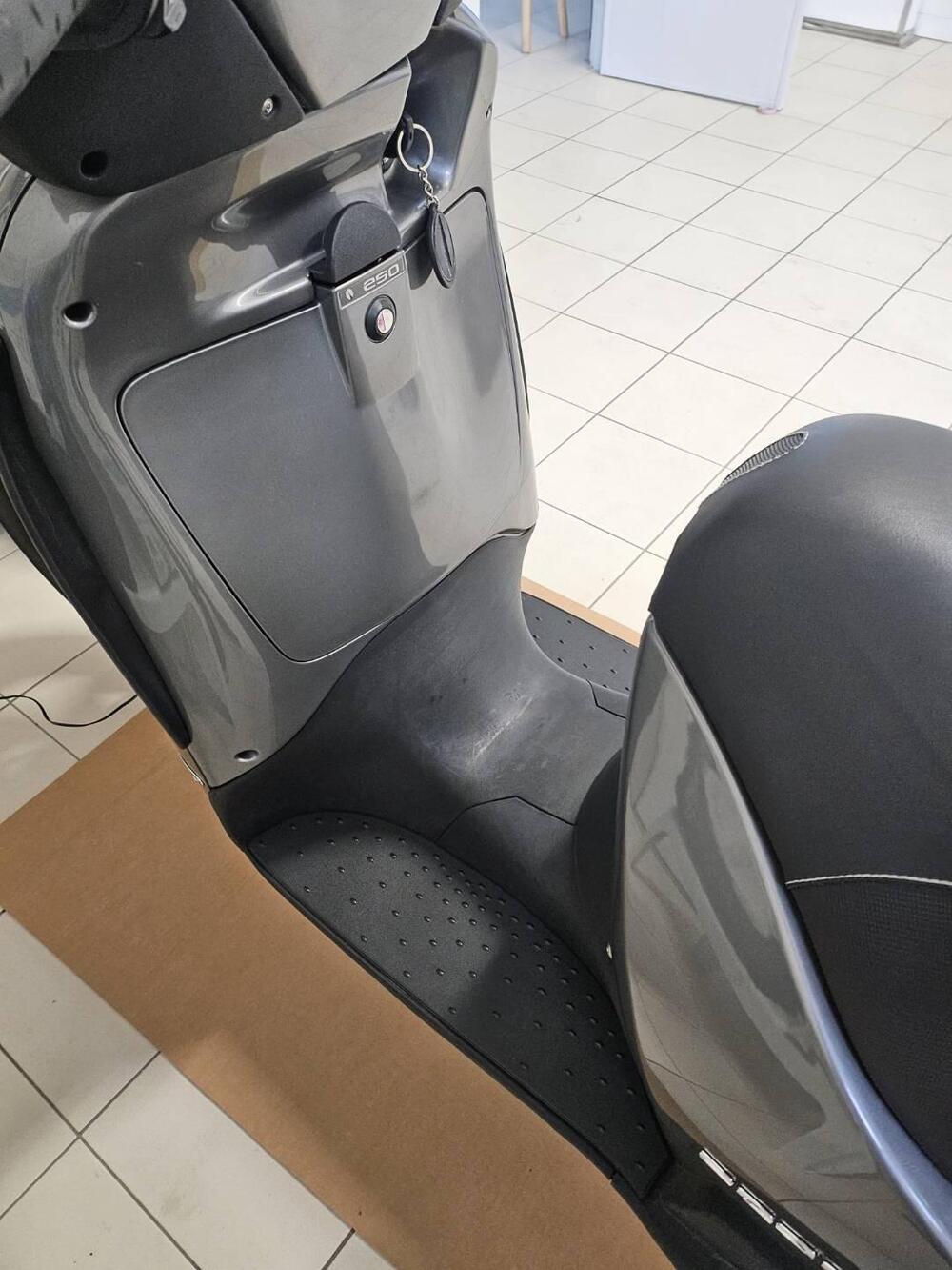 Aprilia Scarabeo 250 GT (2004 - 07) (2)