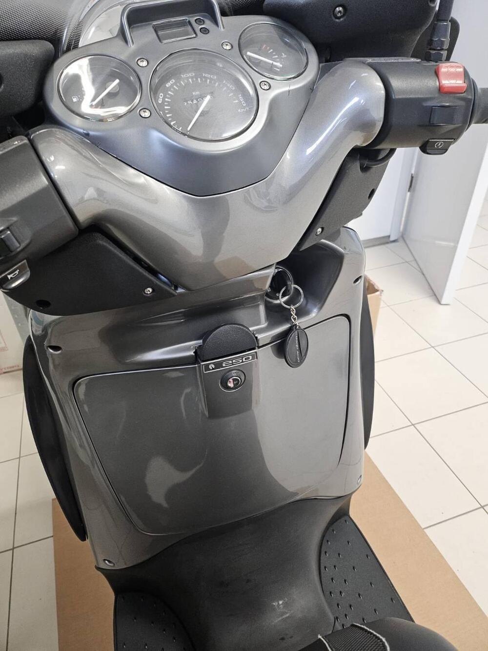 Aprilia Scarabeo 250 GT (2004 - 07) (9)