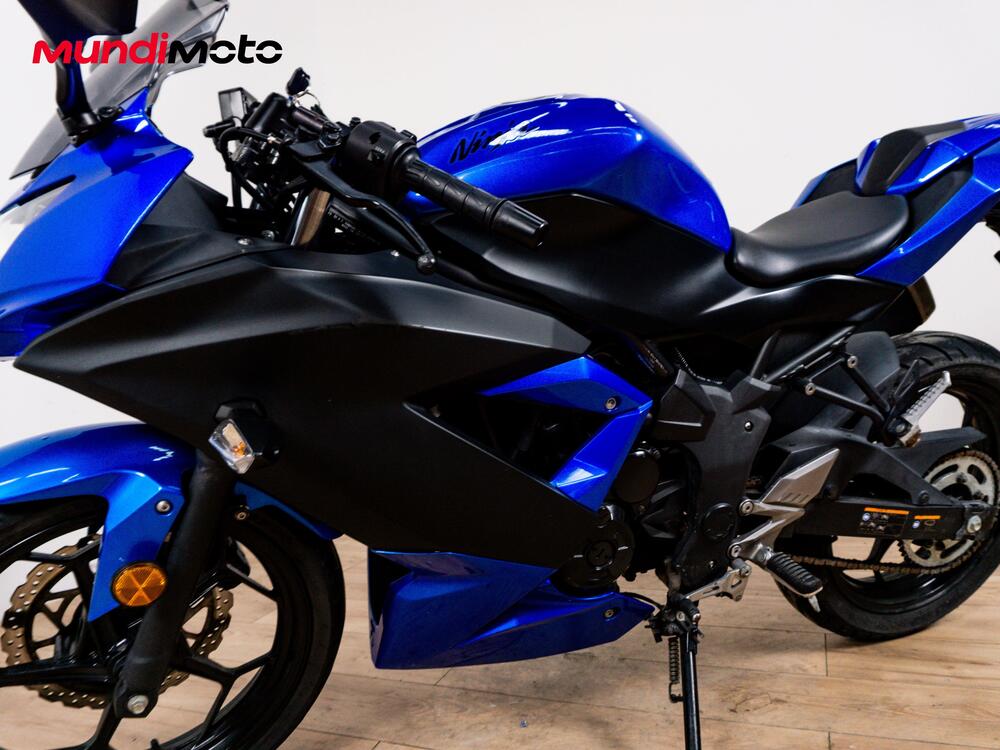 Kawasaki Ninja 300 ABS (2012 - 16) (9)