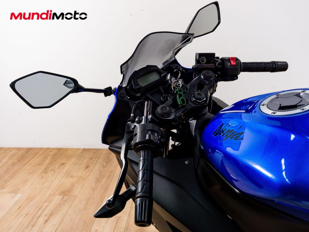 Kawasaki Ninja 300 ABS (2012 - 16) (11)