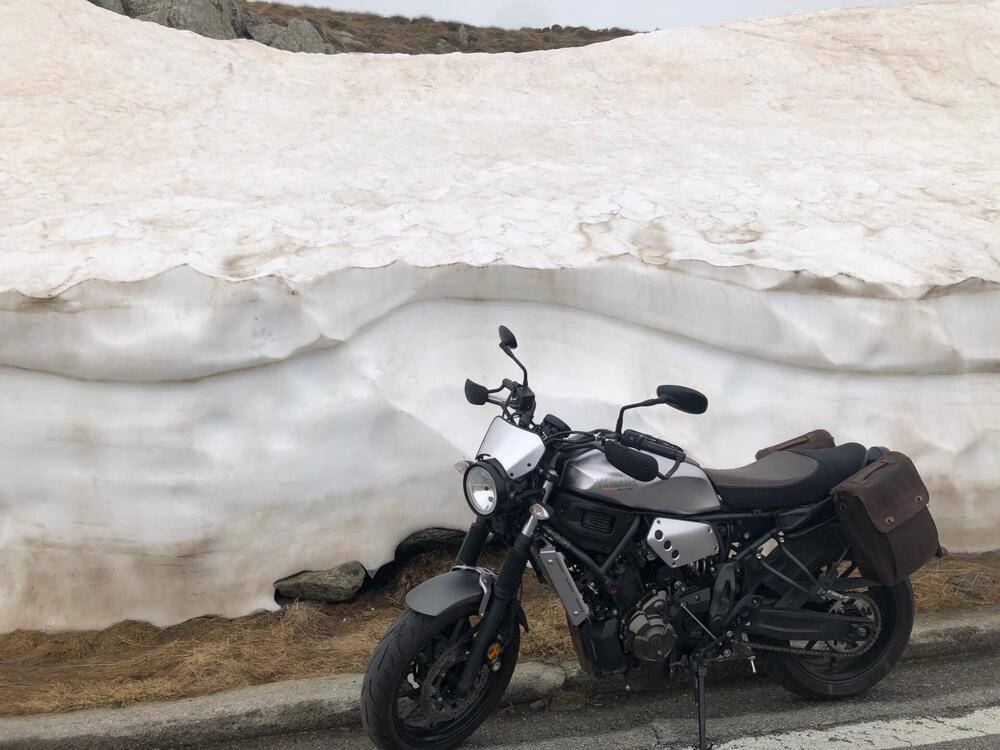 Yamaha XSR 700 ABS (2016 - 20) (12)