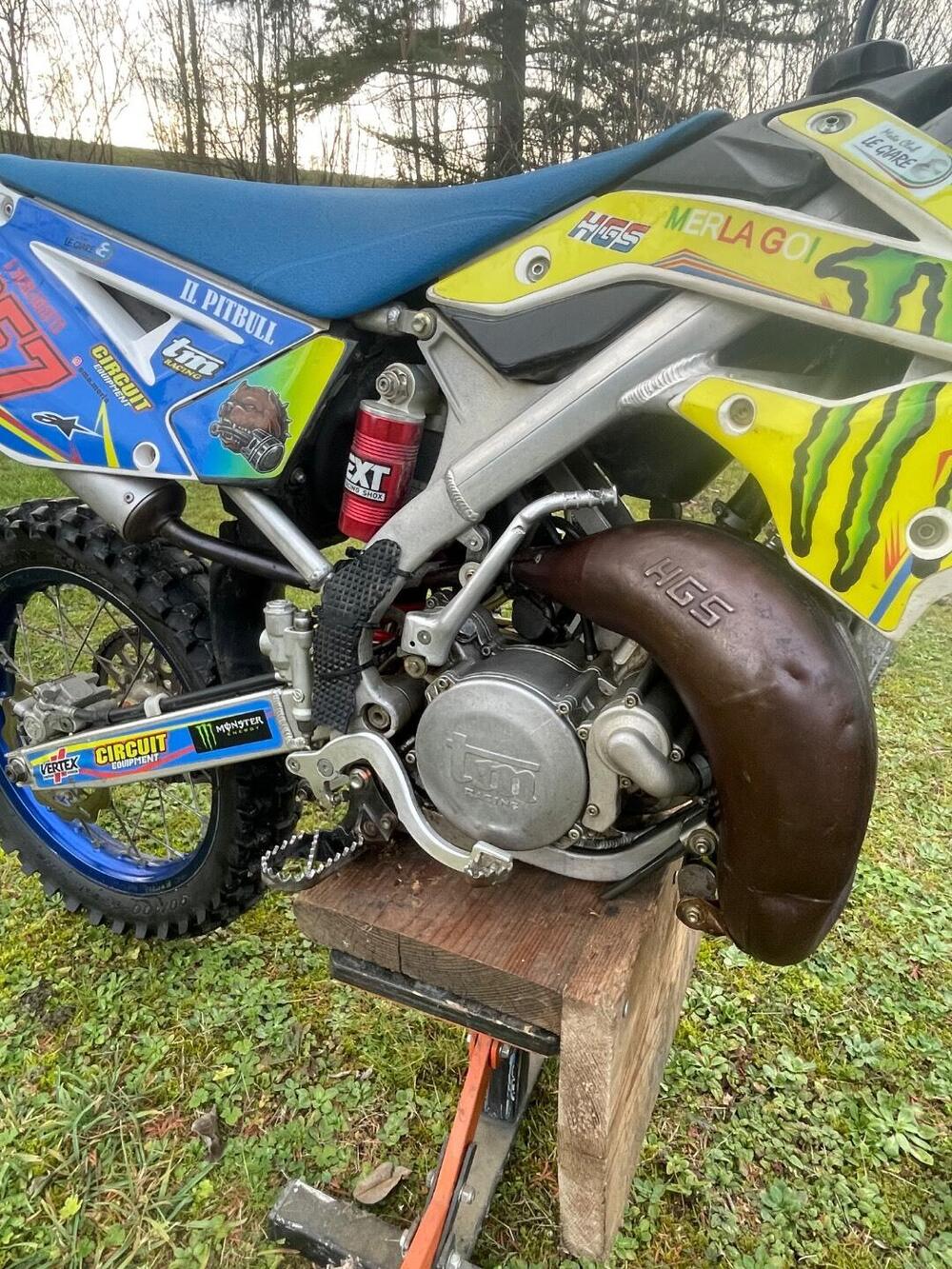 Tm Moto MX 85 (2018) (5)