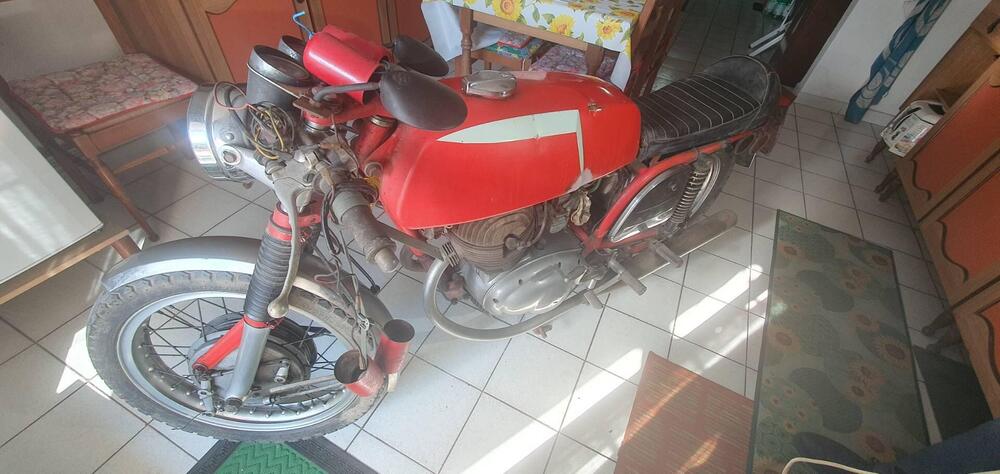 MV Agusta 350 Sport (4)