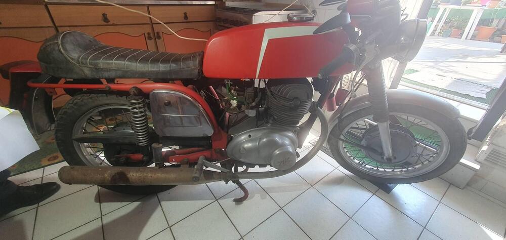 MV Agusta 350 Sport (6)