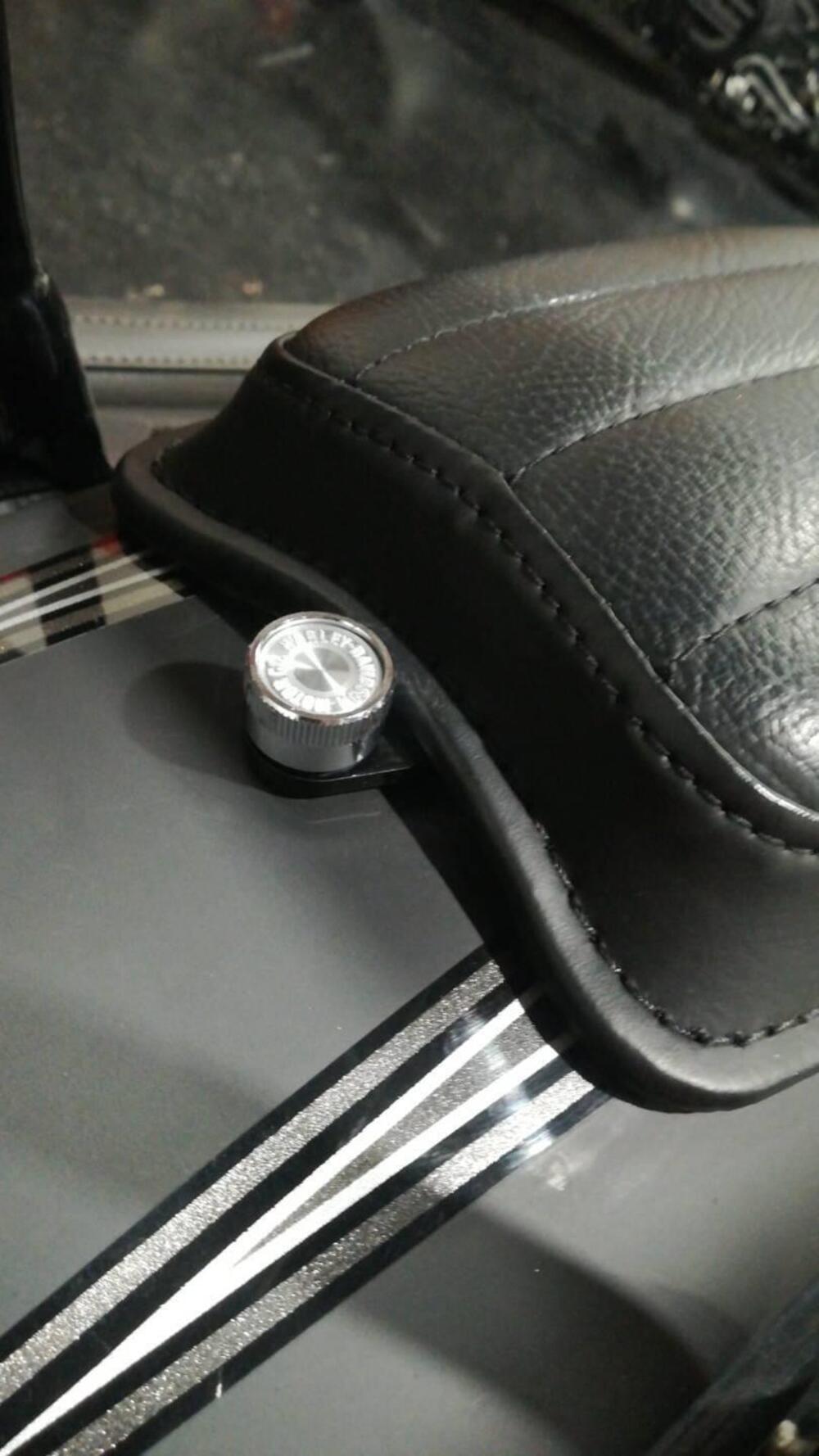 Harley-Davidson Softail Convertible FLSTSE 110 (2012) (6)