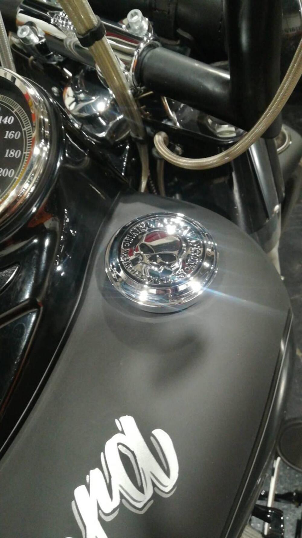 Harley-Davidson Softail Convertible FLSTSE 110 (2012) (7)