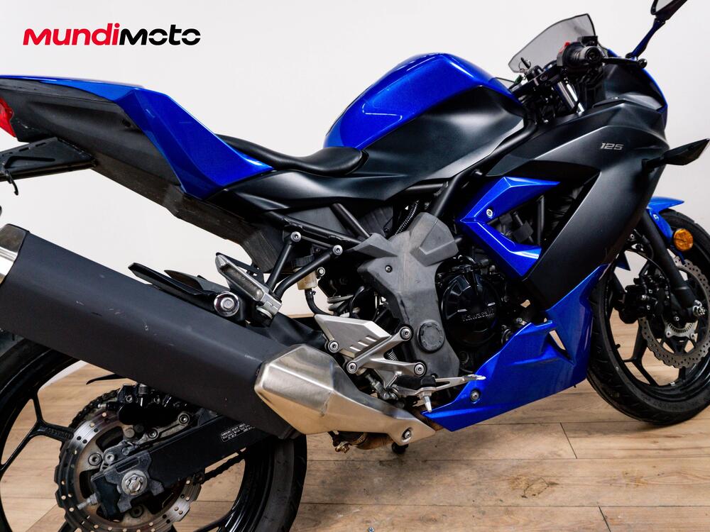 Kawasaki Ninja 300 ABS (2012 - 16) (4)