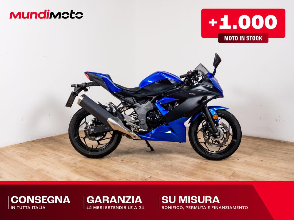 Kawasaki Ninja 300 ABS (2012 - 16)