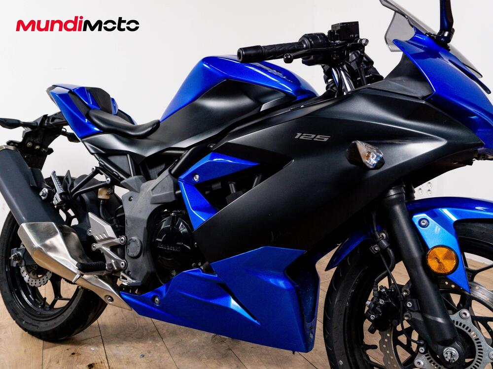 Kawasaki Ninja 300 ABS (2012 - 16) (5)