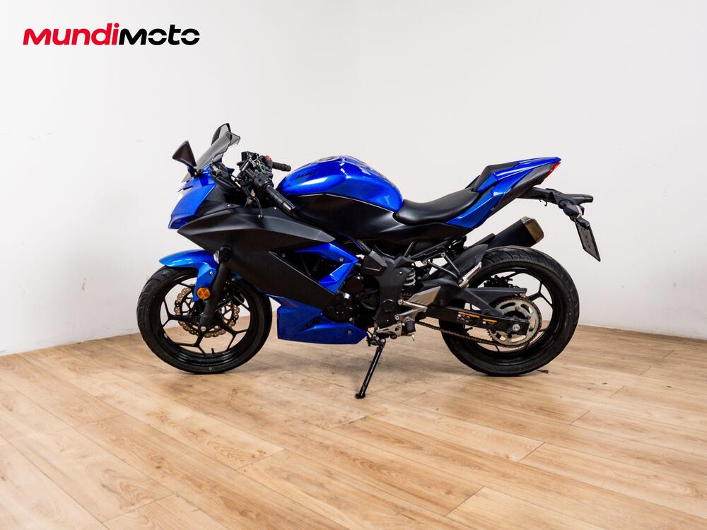 Kawasaki Ninja 300 ABS (2012 - 16) (6)