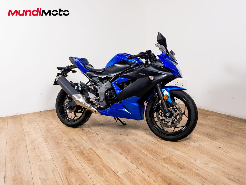 Kawasaki Ninja 300 ABS (2012 - 16) (2)