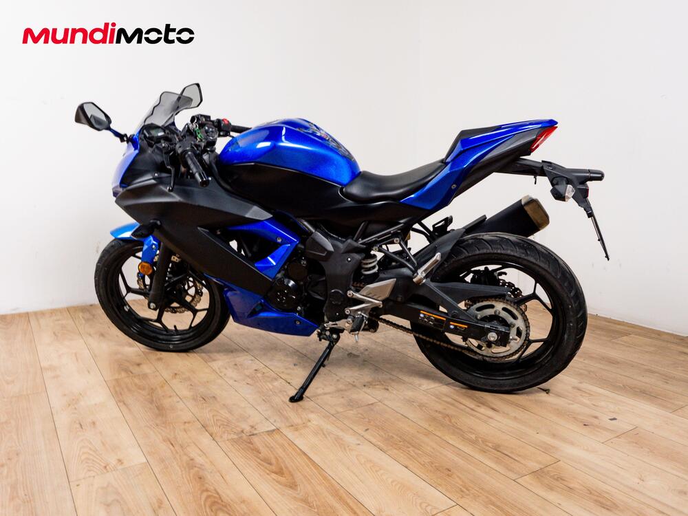 Kawasaki Ninja 300 ABS (2012 - 16) (7)