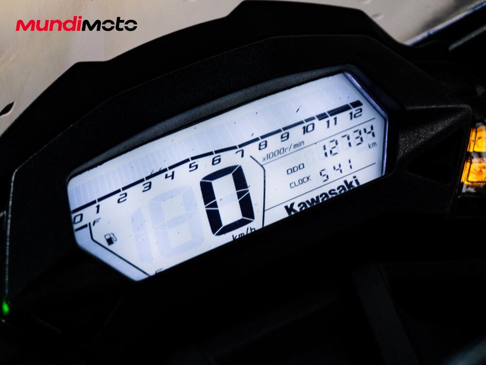 Kawasaki Ninja 300 ABS (2012 - 16) (12)