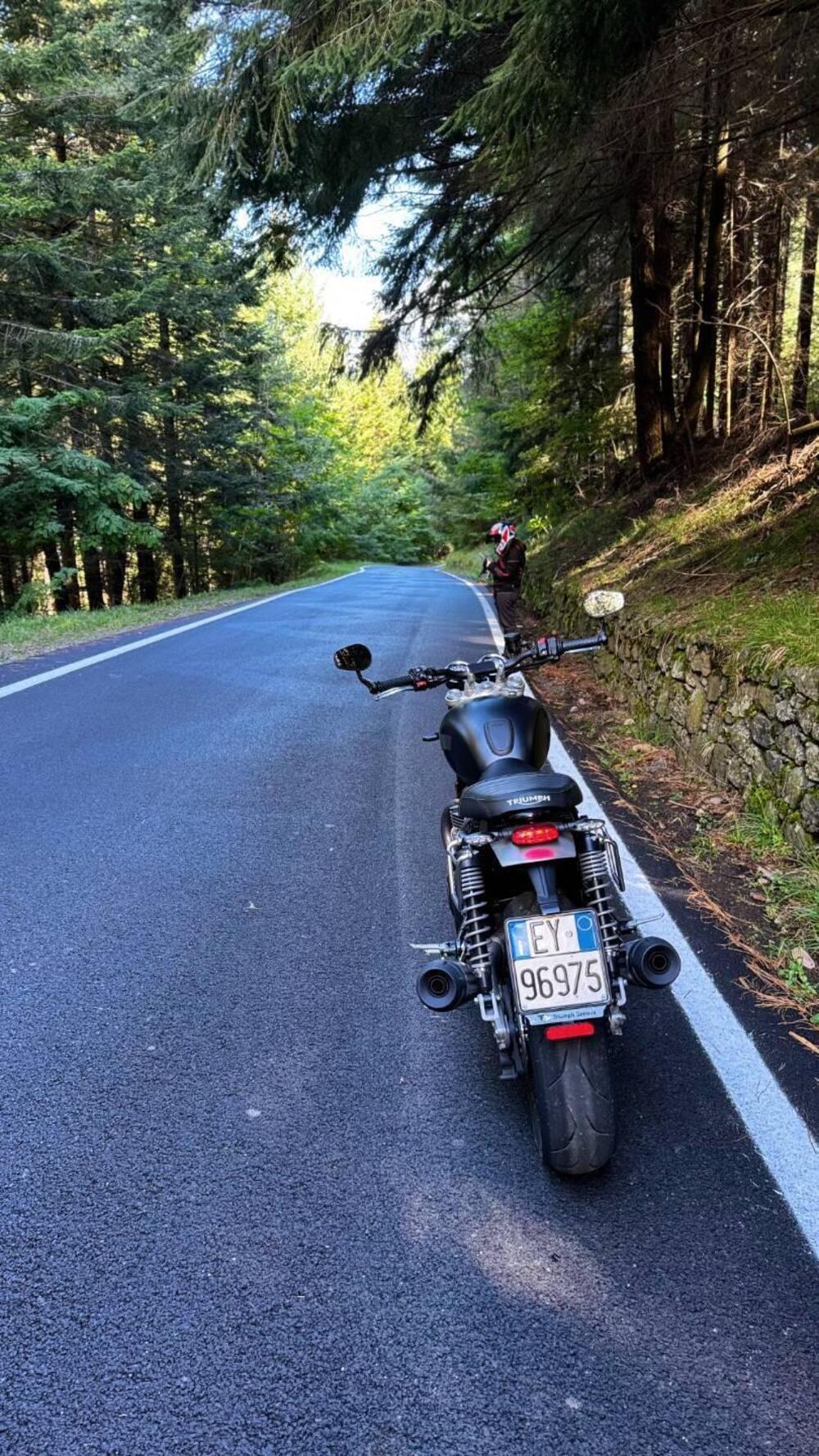 Triumph Speed Twin 1200 (2021 - 24) (2)