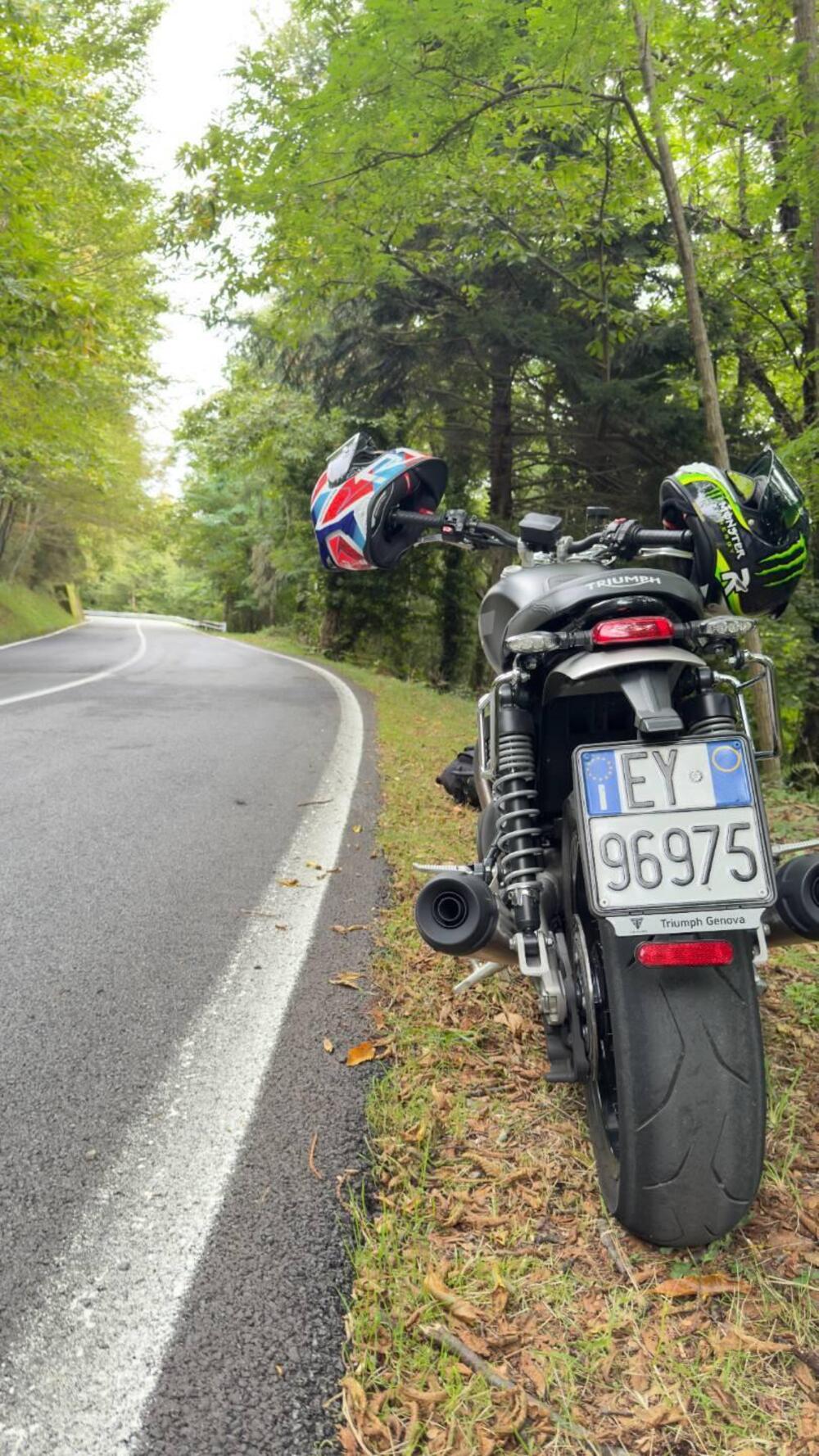 Triumph Speed Twin 1200 (2021 - 24) (3)