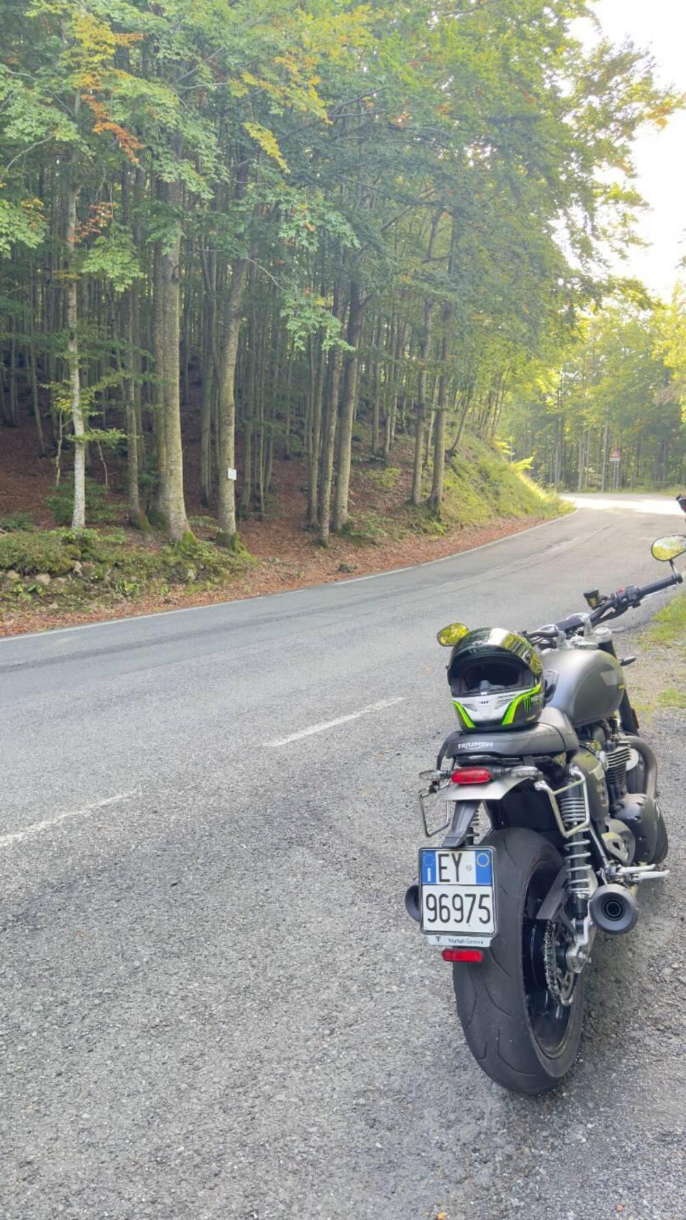 Triumph Speed Twin 1200 (2021 - 24) (4)