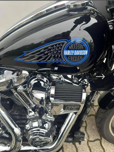 Harley-Davidson Low Rider ST (2025 - 26) usata