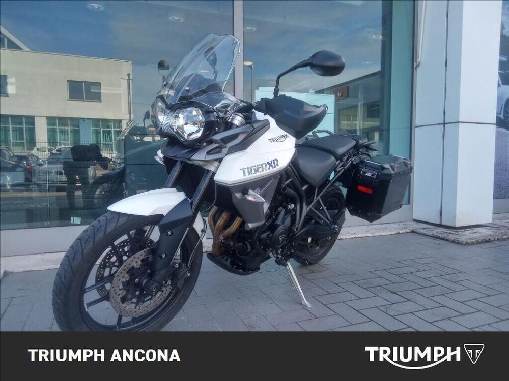 Triumph Tiger 800 XR (2015 - 17) (3)