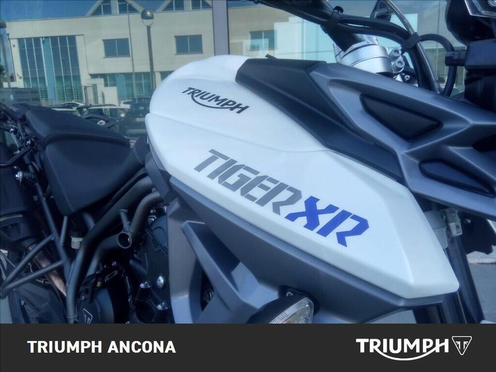 Triumph Tiger 800 XR (2015 - 17) (7)