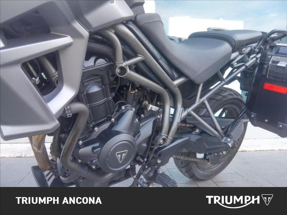 Triumph Tiger 800 XR (2015 - 17) (4)