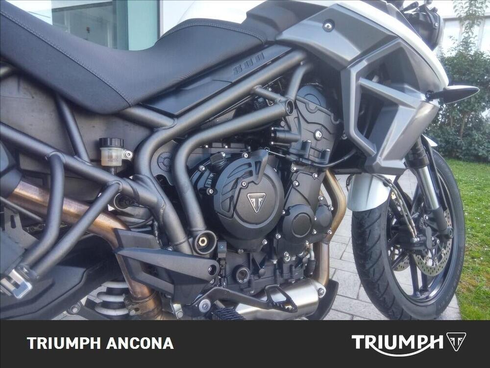 Triumph Tiger 800 XR (2015 - 17) (10)