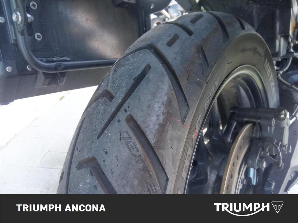 Triumph Tiger 800 XR (2015 - 17) (11)