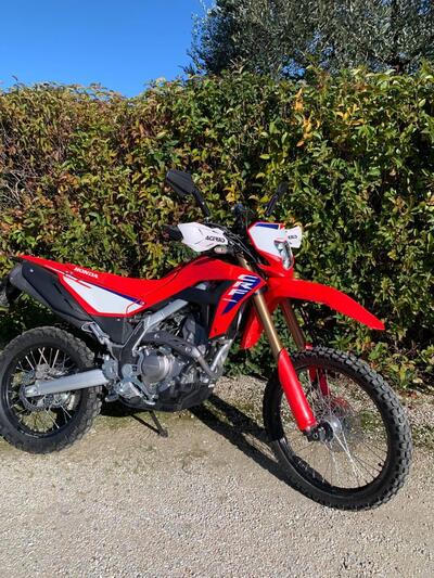 Honda CRF 300L (2025 - 26) usata
