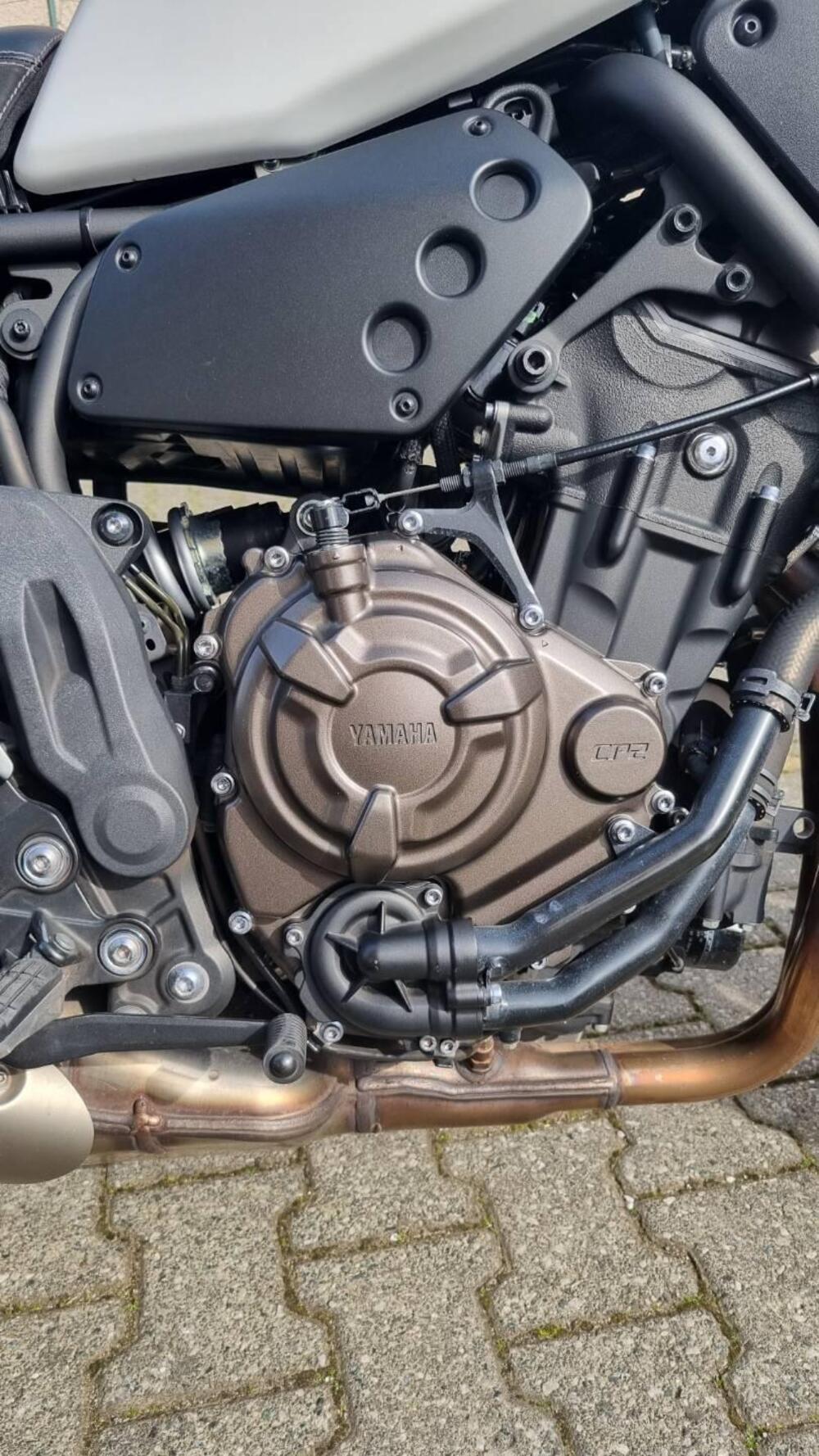 Yamaha XSR 700 XTribute (2021) (8)