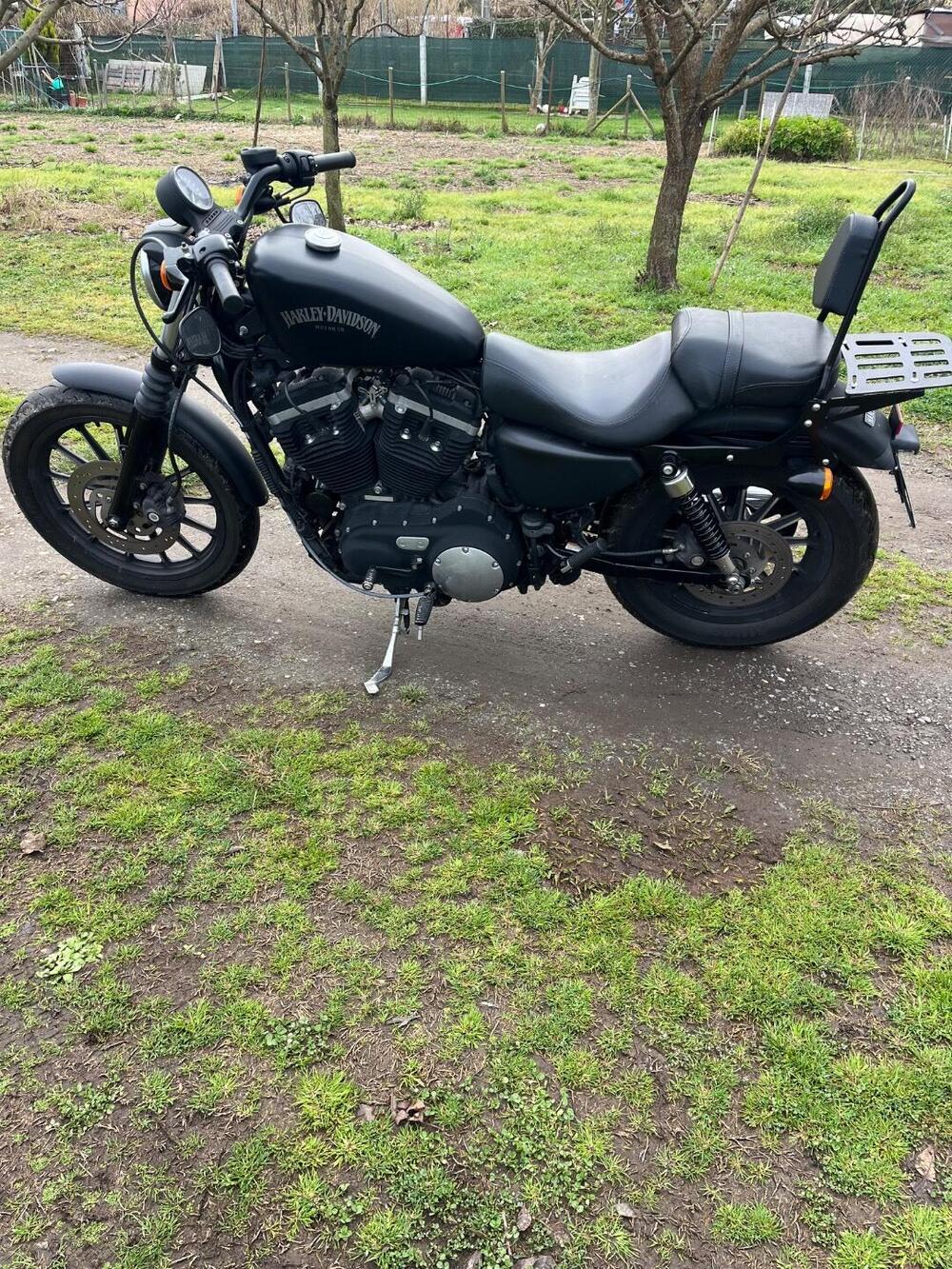 Harley-Davidson 883 Iron (2012 - 14) - XL 883N (2)