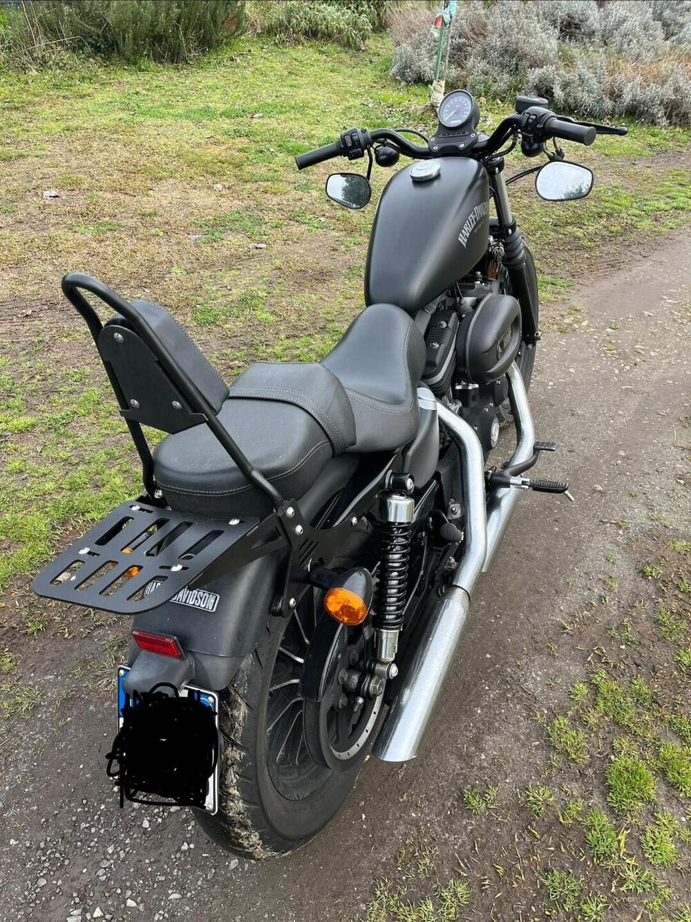 Harley-Davidson 883 Iron (2012 - 14) - XL 883N (3)