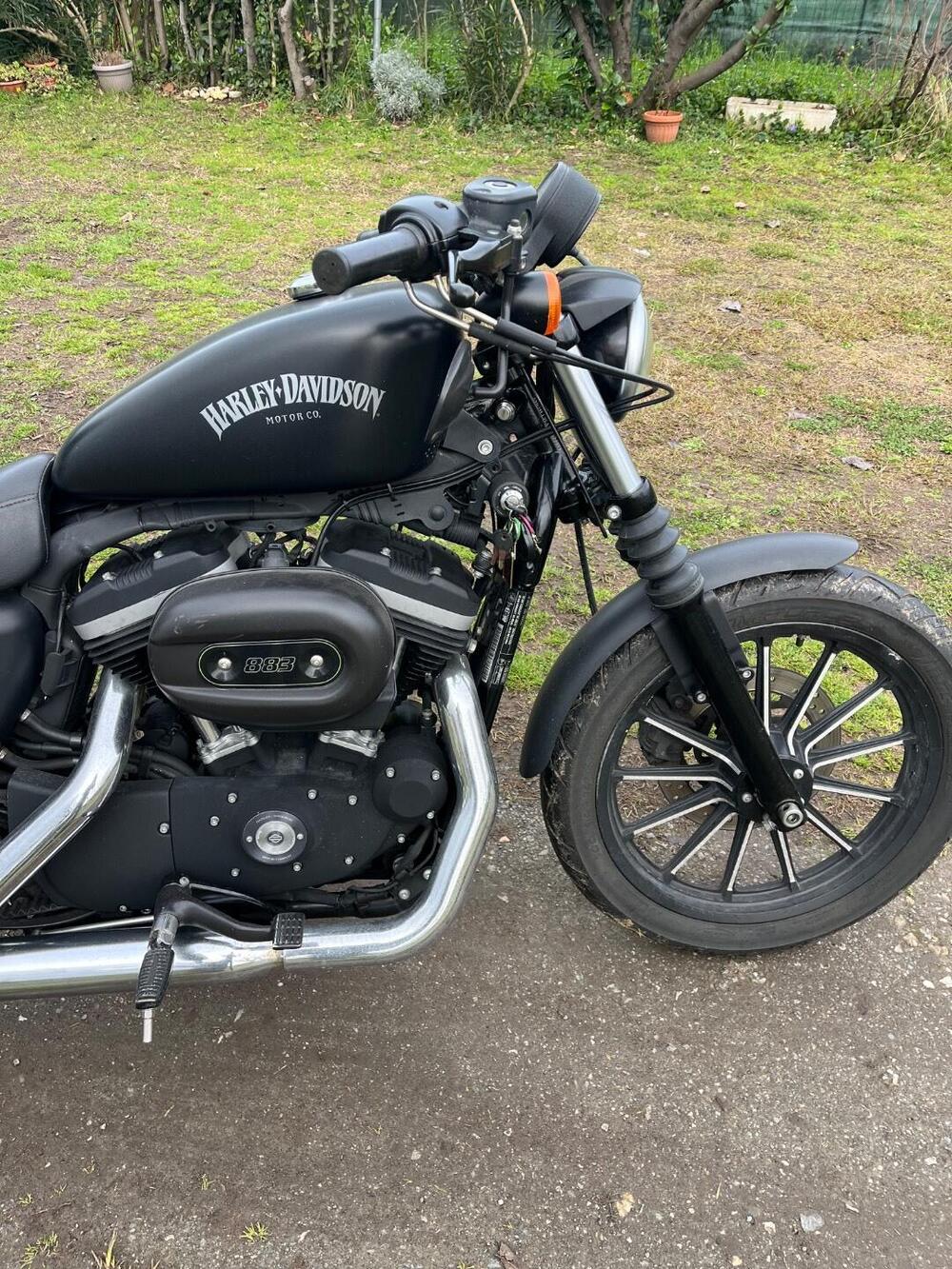 Harley-Davidson 883 Iron (2012 - 14) - XL 883N (4)